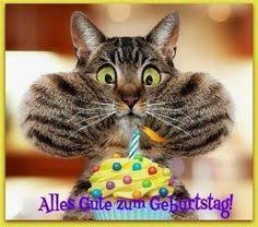 Ob für kinder oder für erwachsense zum 30. 70 Lustige Geburtstagsbilder Ideen Lustige Geburtstagsbilder Geburtstag Bilder Lustig Geburtstagsbilder