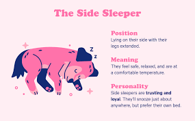 10 Dog Sleeping Positions The Adorable Meaning Behind Them Casper Blog