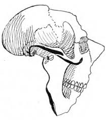 Map Of Africa Draw A Map Of Africa Map of the continent of africa nearly three hundred years old drawing. map of africa draw a map of africa