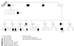 Additionally, your parents will come above you while their siblings will be drawn next to them, following the same pattern as of your siblings, called as your aunts and uncles. Family Tree Showing The Genetic Penetration In Generations Download Scientific Diagram
