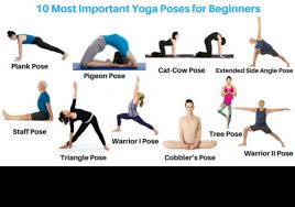 How to do the cat cow exercise. The Most Important Yoga Pose When You Are On The Go