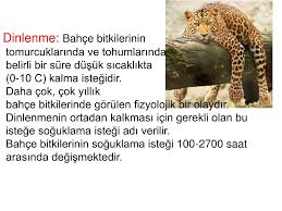 Ppt Bahce Bitkilerinin Ekolojik Ve Fizyolojik Istekleri Powerpoint Presentation Id 848499