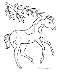 If you want horse picture for coloring yourself then you need to. Horse Coloring Pages Online Coloring Home