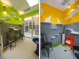 Jul 16, 2021 · humane society of boulder valley: Humane Society Of Boulder Valley Gets Catified Adoption Center Redesigned To Delight Shelter Cats And Visitors Hauspanther