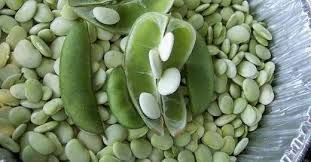 Image result for Phaseolus lunatus