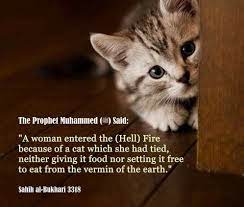 Pin On Hadith