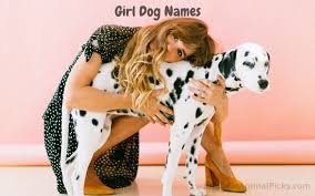 Looking at your favorite celebrities is another fun way to get inspiration! Girl Dog Names 2000 Best Female Dog Name Ideas 2021