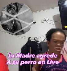 Entrega del Perro: La Dura Verdad Sobre la Madre y el Maltrato