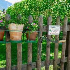 Ohne Worte Garden Gemuse Beeren Hecken Sitzplatzimgarten Insekten Vogel Ho Beerenhecken Beeren Formalegarten Hecke Sitzplatz Im Garten Unkraut