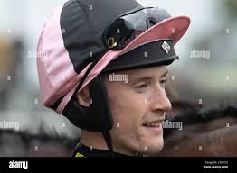 Harding horse hi-res stock photography and images