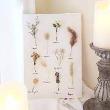 Inilah daftar nama bunga beserta gambar nya, indah, unik, cantik dan langka, lengkap dengan penjelasannya. Jual Dried Flower In Canvas Bunga Kering Bunga Papan Dekorasi Di Lapak Jefe Flower Bukalapak