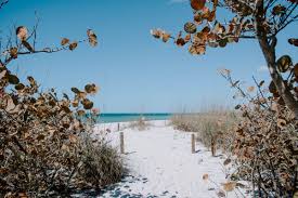 Snow In Florida - Wikipedia
