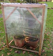 Pflanzen sie ihre palme erst aus, wenn keine nachtfröste mehr zu erwarten sind (märz bis juni). Palmenpflege Im Garten Winterschutz Pflanzenfreunde