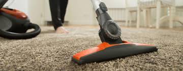 Benutz einen alten putzlappen oder schwamm und drück damit auf den essig nach 10 bis 15 minuten kannst du einen putzlappen auf den fleck legen und fest darauf drücken, um das mineralwasser wieder aus dem teppich zu saugen. Akku Oder Bodenstaubsauger Zum Entfernen Von Hundehaaren Hunde De