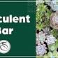 Succulent Zen Garden Workshop