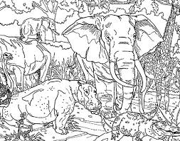 Kids will have such fun coloring wild african animals coloring pages. African Elephant And Other Protected Animals Coloring Pages Coloring Sky