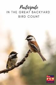 We are a family owned & operated business since 1953 and offer many different outdoor living. 2021 Great Backyard Bird Count Nashville Fun For Families