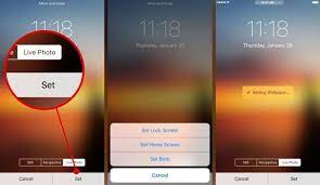 11 Amazing How To Make Live Wallpaper Iphone That Have An Looks In 2020 Live Wallpaper Iphone Live Wallpapers Live Fish Wallpaper