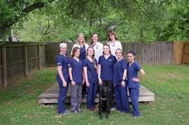 Our clean and comfortable college. Home College Hills Vet Veterinary Clinic Bryan College Station Tx