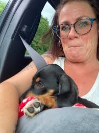 Introduction to new dachshund puppy Dixie