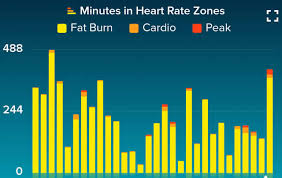 Fitbit Charts Steps Cardio Heart Rate For May 2019 Fitness