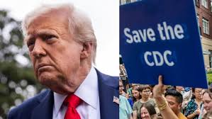 I'm proud of her': What Harris' historic run meant to women