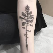 Quaking Aspen Tattoo Tree Tattoo Tree Tattoo Forearm Aspen Trees Tattoo