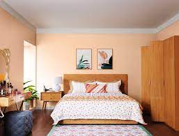 Peach Beach 8010 House Wall Painting