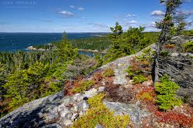 Duck harbor campground site 4 duck harbor campground site 4 view site 5 duck harbor campground site 5 duck harbor campground site 5 view. Duck Harbor Mountain Trail Isle Au Haut Hiking Guide Joe S Guide To Acadia National Park