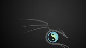 Desktop, android, iphone, ipad after a long wait there was a upgrade to raspberry pi4 from the pi3b+ a few weeks ago and offensive security already released kali linux for raspberry pi. 66 Kali Linux Wallpaper Hd