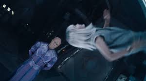 Image result for Phyla