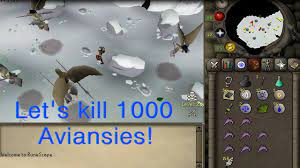 Osrs aviansie guide 500k+ profit per task. Osrs Aviansies Guide Efficient Armadyl Guide For Range Tanks Public Guides Vengeance Including Some Moneymaking Ways And Other Relevant Info Google Driving Directions