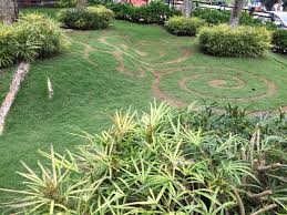 Apakah sobat sedang mencari pekerjaan di area tulungagung minggu ini? Kreatif Banget Taman Di Kota Batu Ini Dibuat Seperti Hair Tatto Malanglife Malanglife Berita Event Kuliner Wisata Mahasiswa Malang Raya