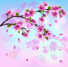Feel free to download, share, comment and discuss every wallpaper you like. Cherry Blossom Free Vector Download 1 272 Free Vector For Commercial Use Format Ai Eps Cdr Svg Vector Illustration Graphic Art Design