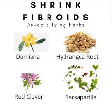 This Is Something To Look Into Possibly Shrinking Fibroids Naturally Fibroids Fertility Tea Fibroids Treatment