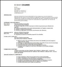 Créez votre logo en ligne en quelques minutes et téléchargez votre logo en haute définition logogénie met à disposition gratuitement un outil de création de logo gratuit. Exemple De Cv Directeur General Automobile Exemples Modeles De Cv