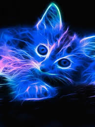 Fond D Ecran Gif Illustration De Chat Chat Fou Chats Et Chatons