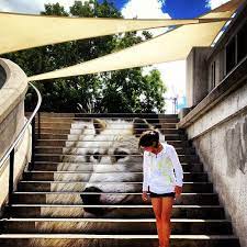 Sab On Instagram Downtown Ottawa Hangs