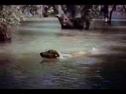 In adventure, drama, family, movies. Lassie Come Home 1943 Trailer Elizabeth Taylor Youtube