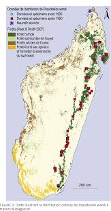 Toliara, aussi connue sous appellation francisée « tuléar » datant de l'époque coloniale, est une ville de madagascar. Les Oiseaux De L Archipel De Nosy Hara Au Nord Nord Ouest De Madagascar Et La Nouvelle Distribution Connue Du Gobe Mouche De Ward Pseudobias Wardi Semantic Scholar