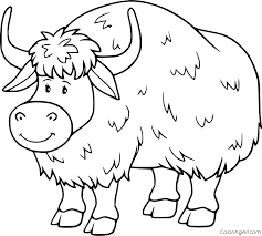 Paste some yarn in shades of black, brown, white and gray over the body. Yak Coloring Pages Coloringall