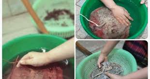 1.5 mempersiapkan lahan tanam untuk budidaya anggur. Cara Mencuci Uri Yang Wajib Korang Belajar Dan Ambik Tahu Islam Itu Indah