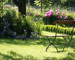 324 likes · 137 were here. Stauden Fur Den Garten Sonniger Halbschattiger Standort Gartengestaltung