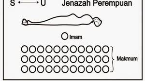 Sebenarnya doanya tidak berbeda dengan doa untuk laki laki yang membedakan hanya penggunaan dhomir atau dalam. Tata Cara Dan Bacaan Sholat Jenazah Beda Jenazah Laki Laki Dan Perempuan Hot Liputan6 Com