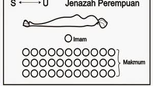 Bagi mayat lelaki, kepalanya di sebelah kiri imam dan 2. Tata Cara Dan Bacaan Sholat Jenazah Beda Jenazah Laki Laki Dan Perempuan Hot Liputan6 Com