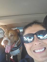 On her way to the vet for her first wellness check , she seems to love  riding in the van