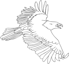 Ausmalbilder Zum Ausdrucken Adler In 2020 Eagle Painting Eagle Drawing Bird Coloring Pages