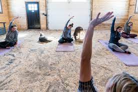 Samadhi yoga golden triangle offers its signature welcoming vibe, a gorgeous mural, and a bright studio filled with samadhi yoga golden triangle studio. There S A Private Zoo In Golden You Can Rent And Try Yoga With Kangaroos 303 Magazine