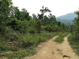 A wide range of international property to buy in malaysia with primelocation. Land Page 3 Malaysiapropertys Com