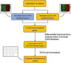 Maybe you would like to learn more about one of these? Frontiers Tumor Microenvironment Associated Immune Related Genes For The Prognosis Of Malignant Pleural Mesothelioma Oncology